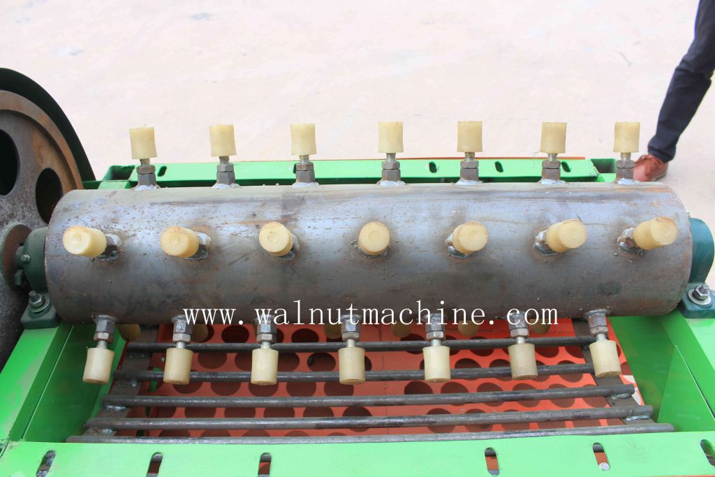 Chestnut Shelling Machine 3 Chestnut sheller