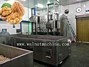 Thermal stable nut drying machine5