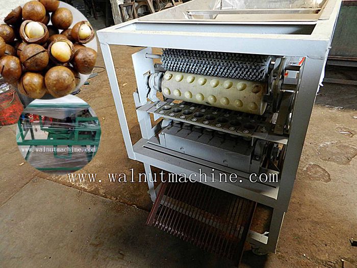 Machine à craquer les noix de macadamia
