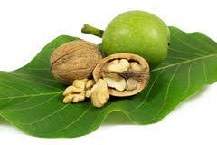 Walnut processing