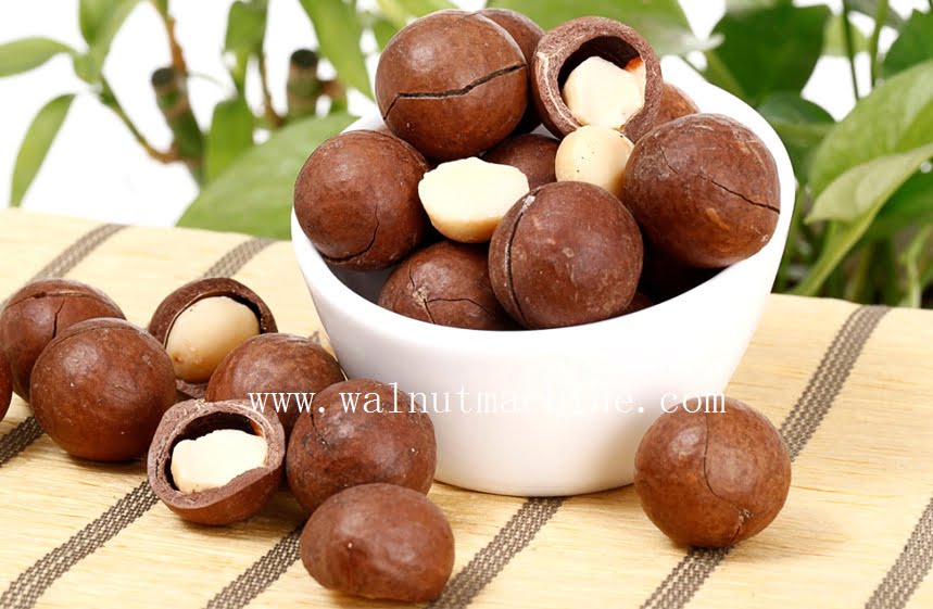 Macadamia nut