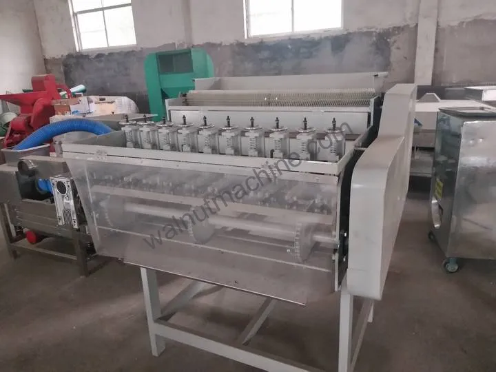 Máquina de descasque de caju de 10 cabeças