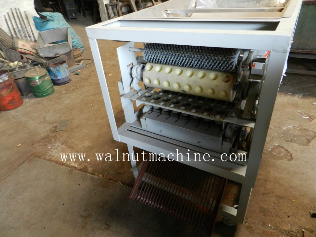 Auto pecan cracker
