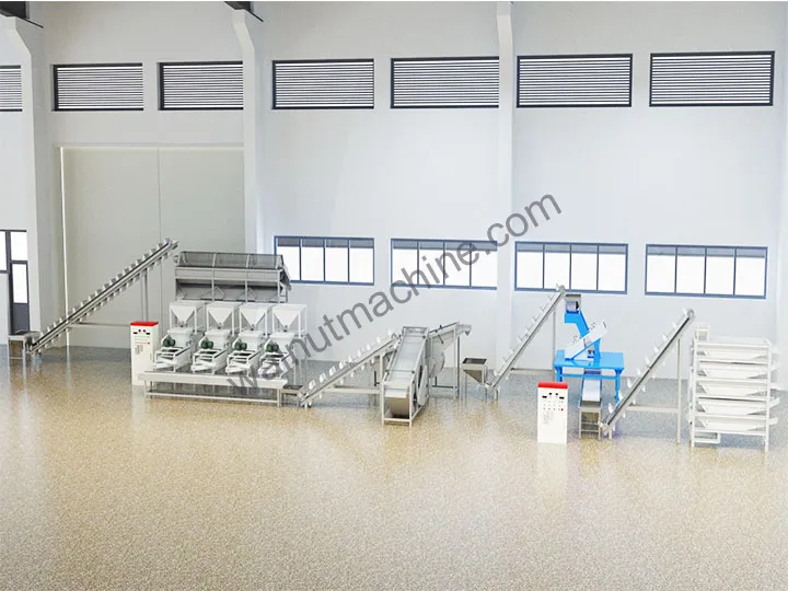 Macadamia Processing Plant 3 Macadamia nut shelling machine