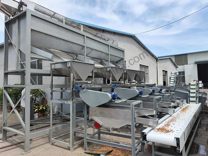 Almond Shelling Machine 11 Almond nut cracker machine