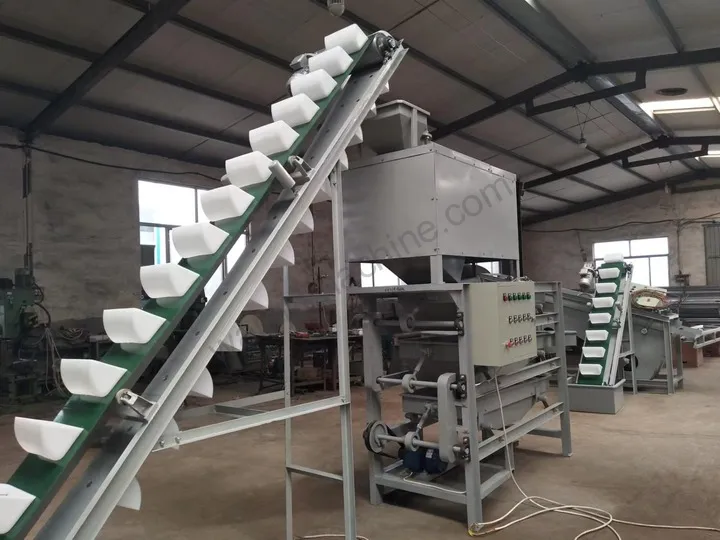 Automatic walnut cracker machine