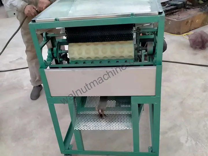 Commercial macadamia nut cracker