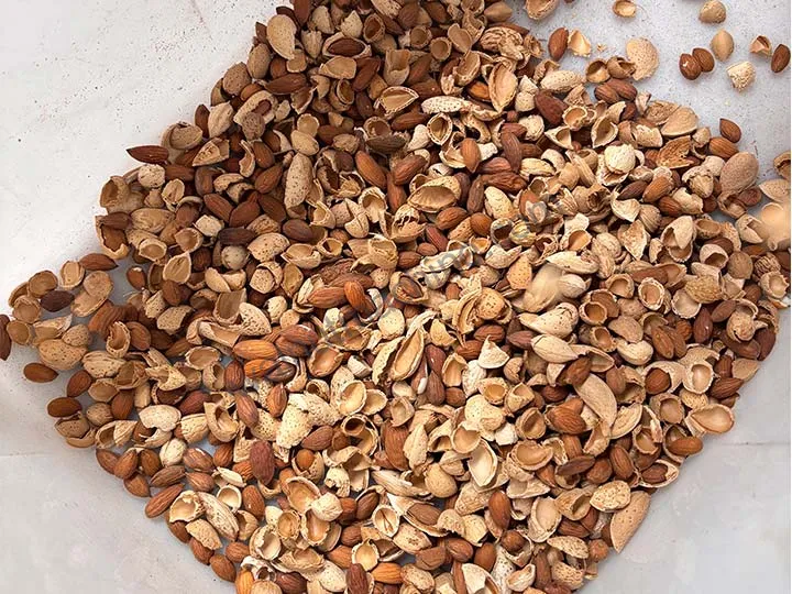 Almond Shelling Machine 4 Effect after shelling the almonds