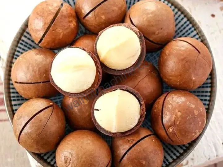 Macadamia cracking machine pre cut nuts