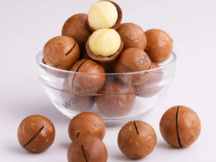 Macadamia nut cutting machine finished products