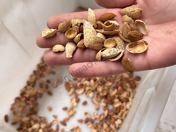 Mixture of almond kernels and shells
