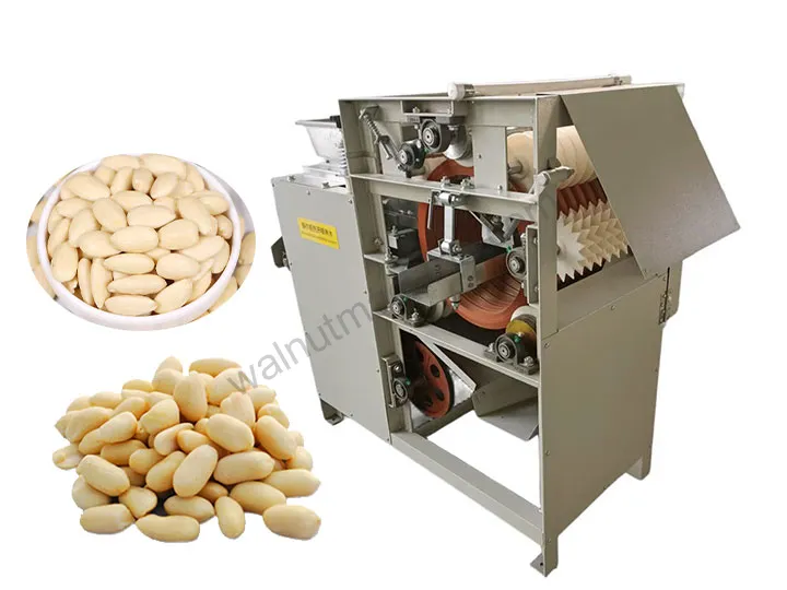 Wet type peanut peeling machine