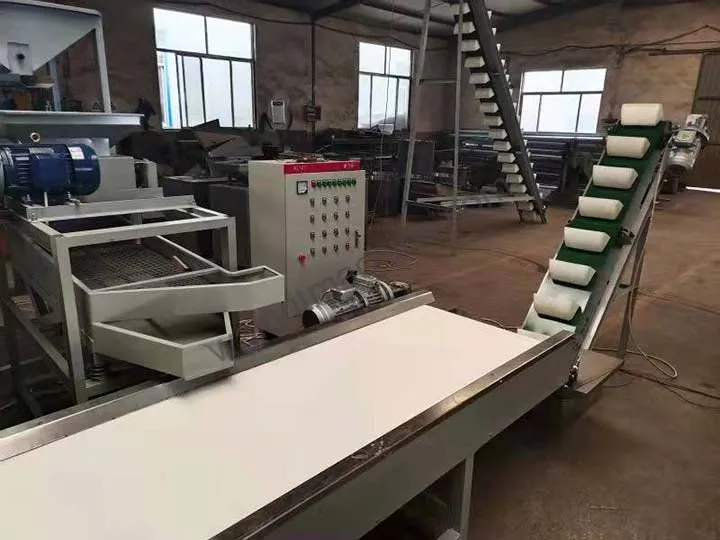 Macadamia Processing Plant 12 Conveyor belt