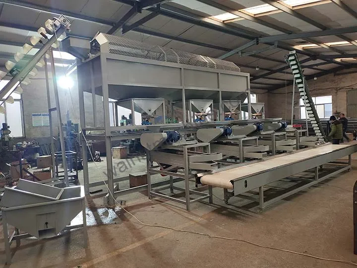Macadamia Processing Plant 5 Macadamia nut processing equipment