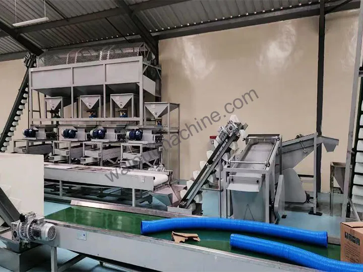 Macadamia Processing Plant 2 Macadamia processing equipment