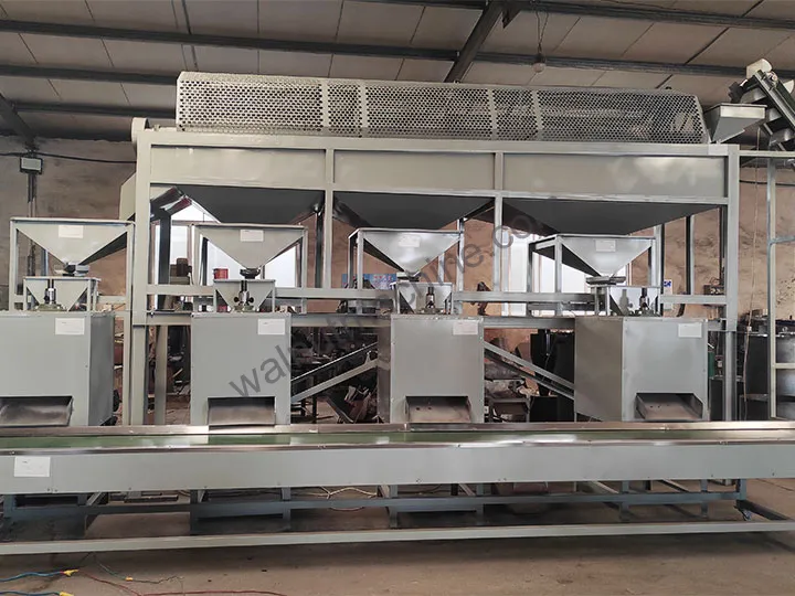 Macadamia Processing Plant 8 澳洲坚果脱壳机