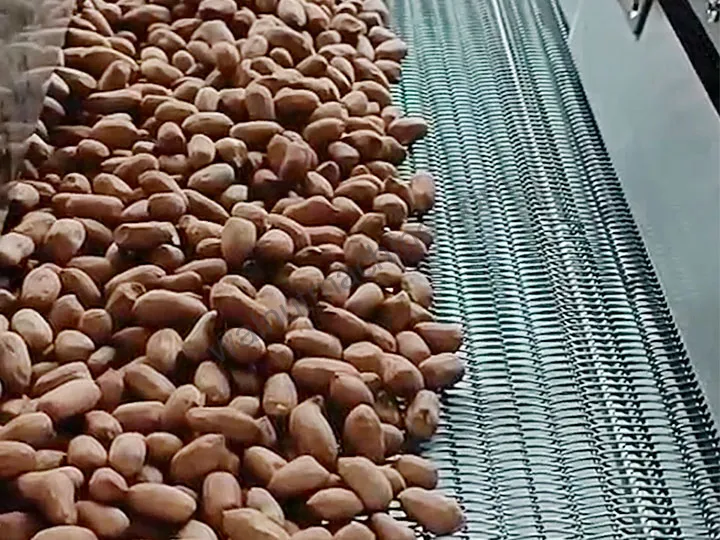 Foto de prueba de fábrica de cacahuetes pelados