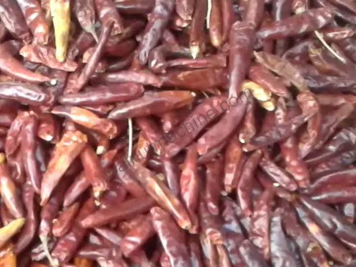 Machine de torréfaction de cacahuètes commerciale - Torréfacteur de noix à haute efficacité à vendre 8 Piments chili rôtis