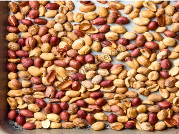 Machine de torréfaction de cacahuètes commerciale - Torréfacteur de noix à haute efficacité à vendre 6 Photo de test en usine d’arachides épluchées