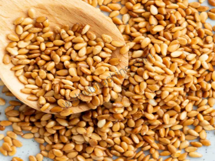 Machine de torréfaction de cacahuètes commerciale - Torréfacteur de noix à haute efficacité à vendre 7 Graines de sésame grillées