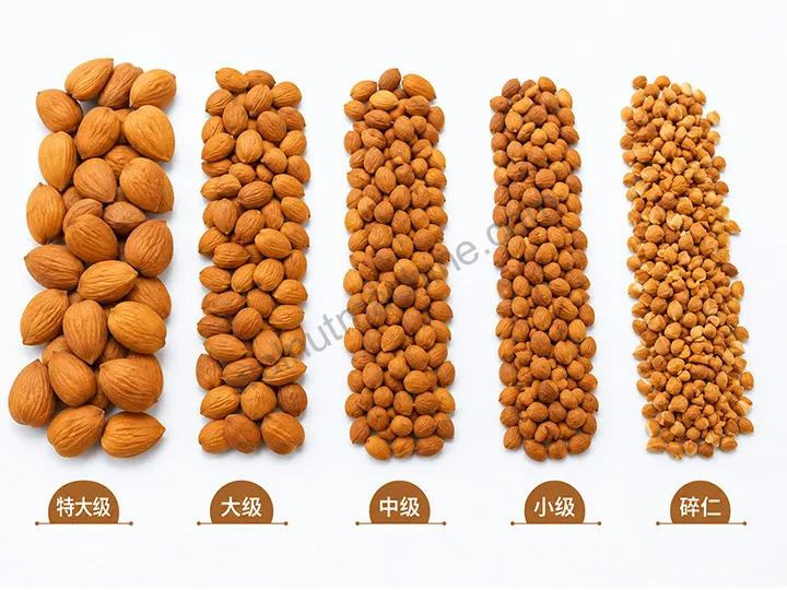 Vibrating Nut Grading Machine For Almonds, Cashews And Peanuts 7 Almond grading