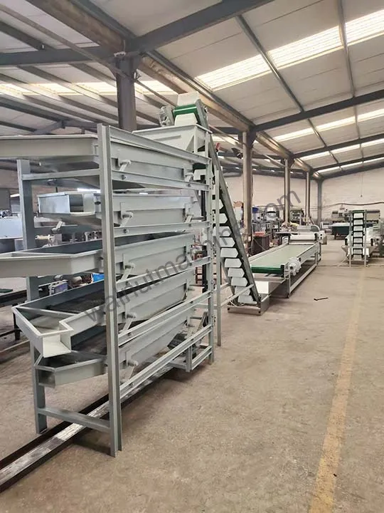Vibrating Nut Grading Machine For Almonds, Cashews And Peanuts 6 Integrated into the production line