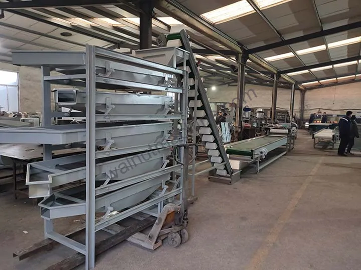 Vibrating Nut Grading Machine For Almonds, Cashews And Peanuts 9 Nut kernel grading machine