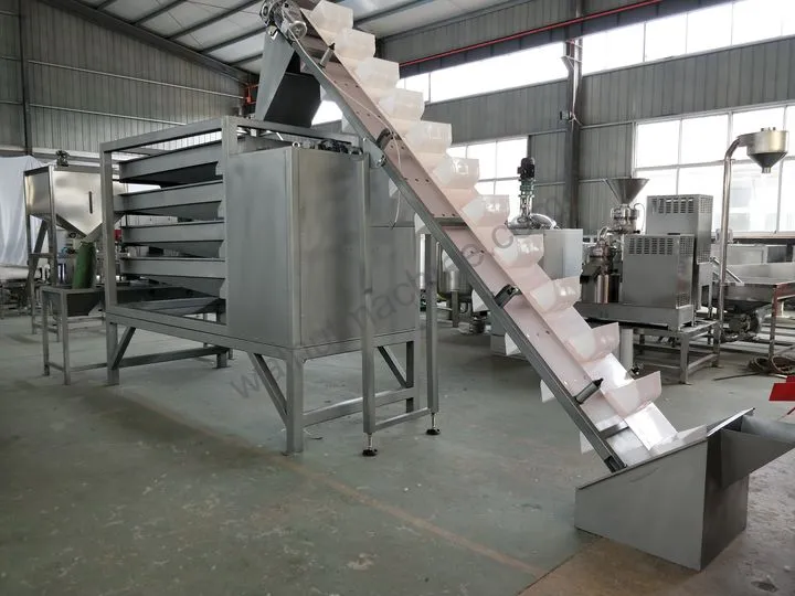 Vibrating Nut Grading Machine For Almonds, Cashews And Peanuts 2 Optional feed conveyor