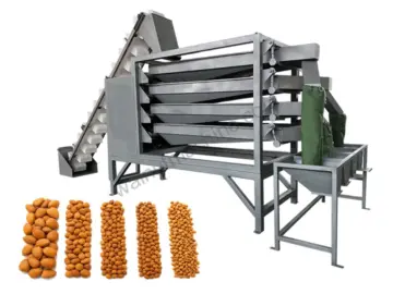 Vibrating nut grading machine