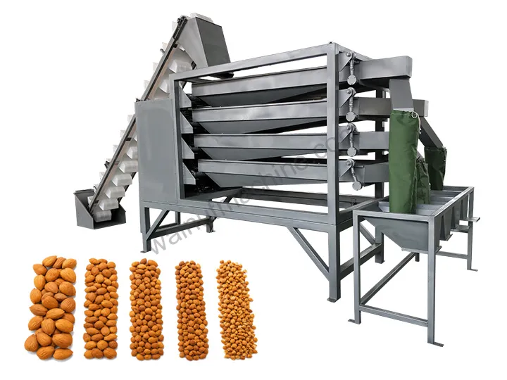 Vibrating nut grading machine