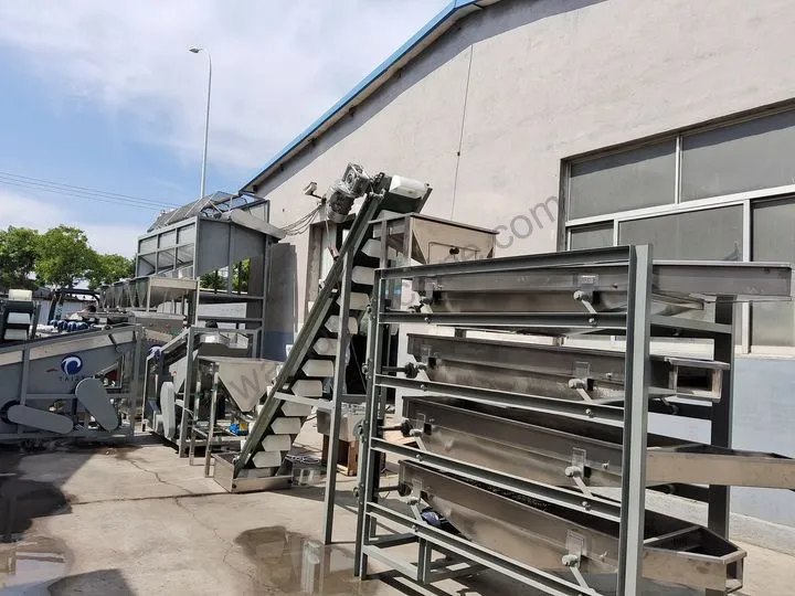 Vibrating Nut Grading Machine For Almonds, Cashews And Peanuts 11 Almond processing equipment
