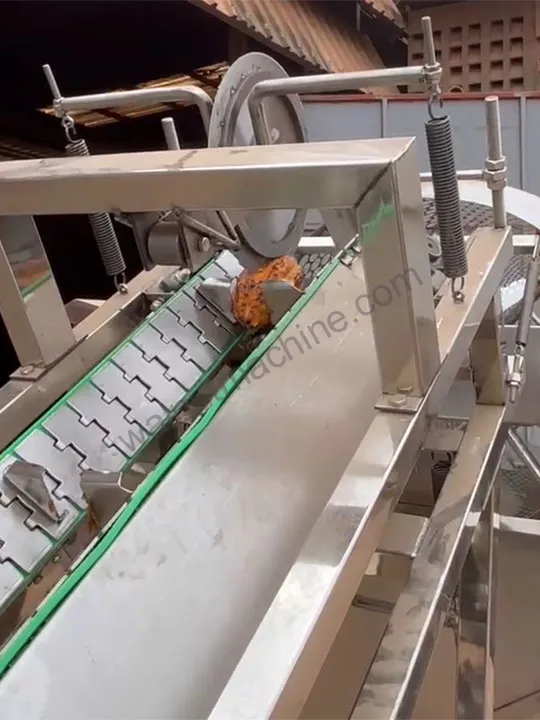 Cocoa Pod Splitting Machine 6 Cocoa pod cutting