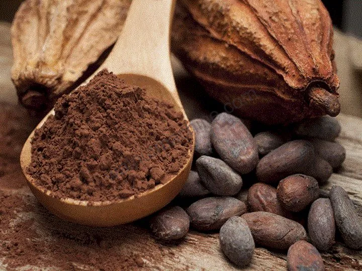 Cocoa Pod Splitting Machine 4 Cocoa powder