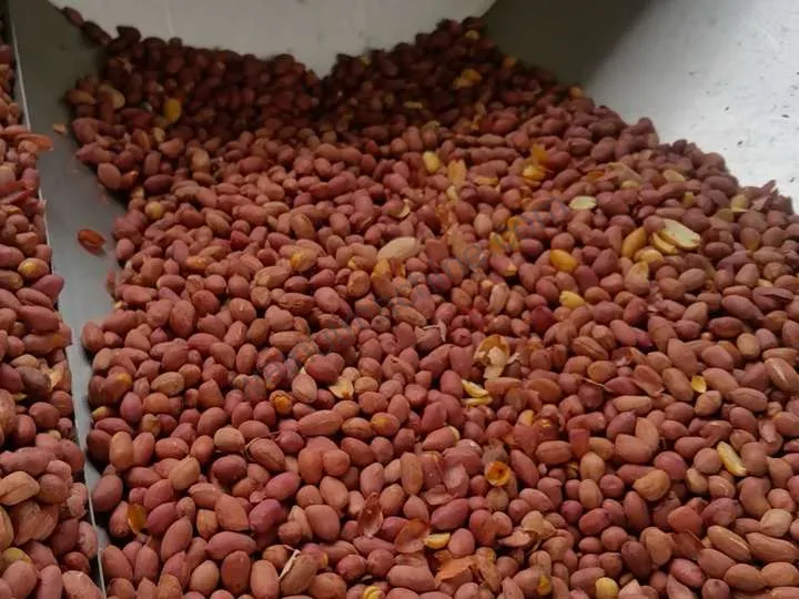 Peanut Half Cutting Machine 1 Feeding inlet