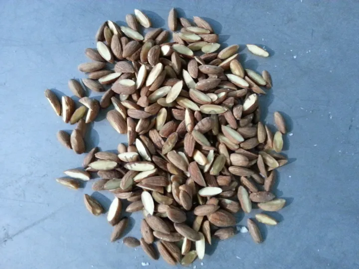 Finished almond strips