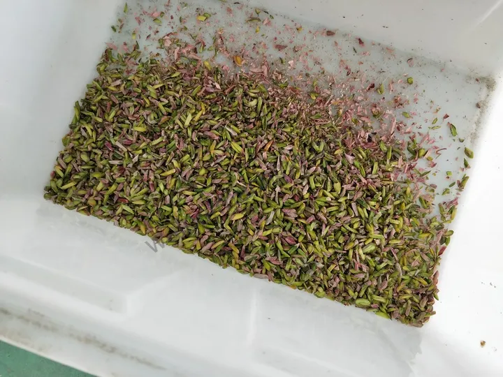 Pistachio strips