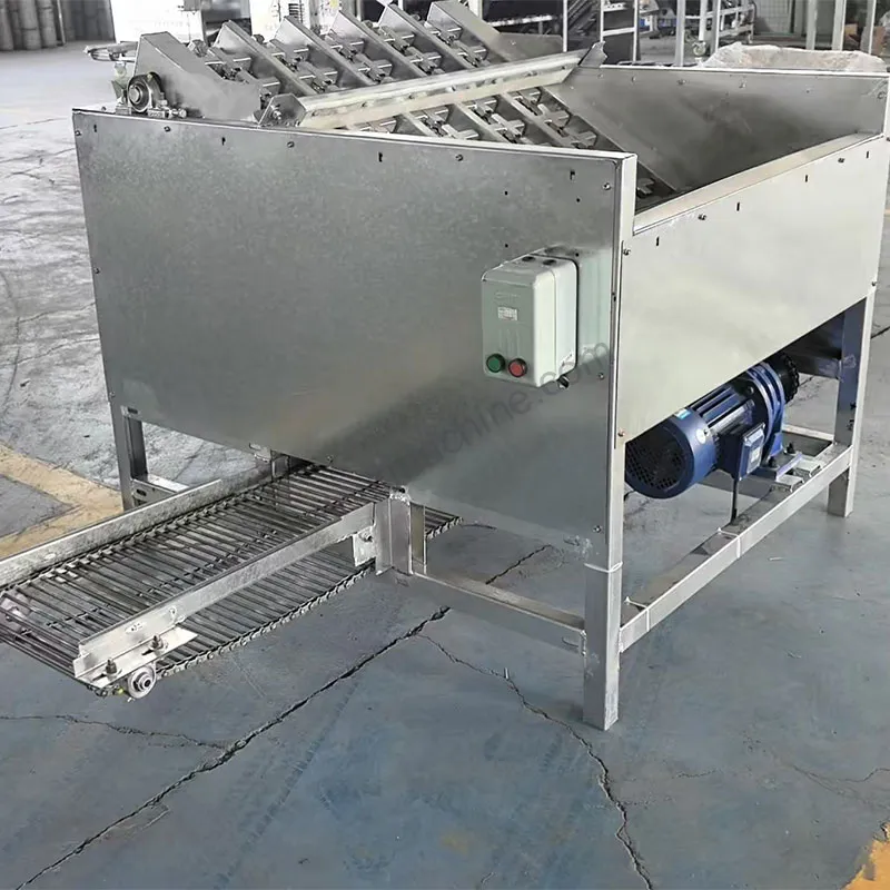 10-channel green walnut peeling machine