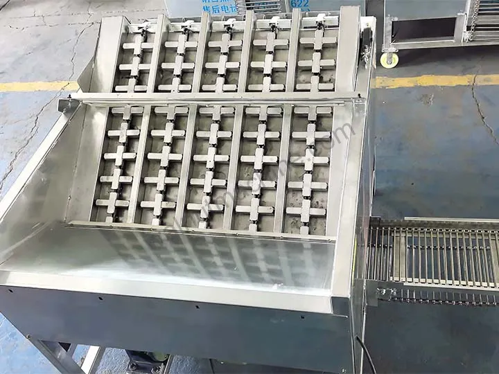 10-channel green walnut peeling machine