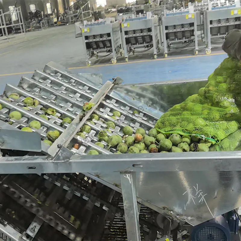 Feed green walnuts into the machine