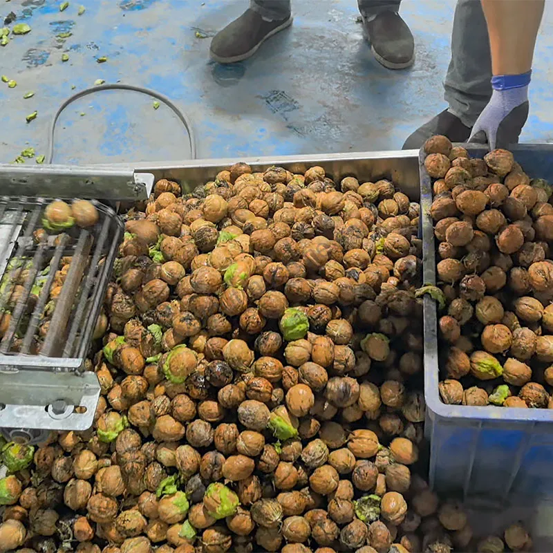 Peeled walnuts after green husk removal