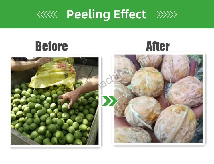 Peeling effect of the walnut peeling machine