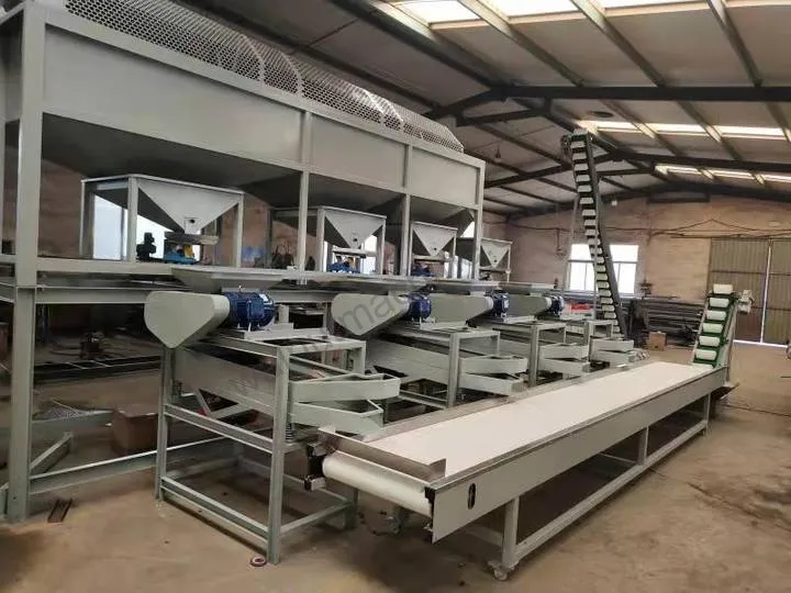 Almond Shelling Production Line For Almond Cracking 7 Almond shelling machine