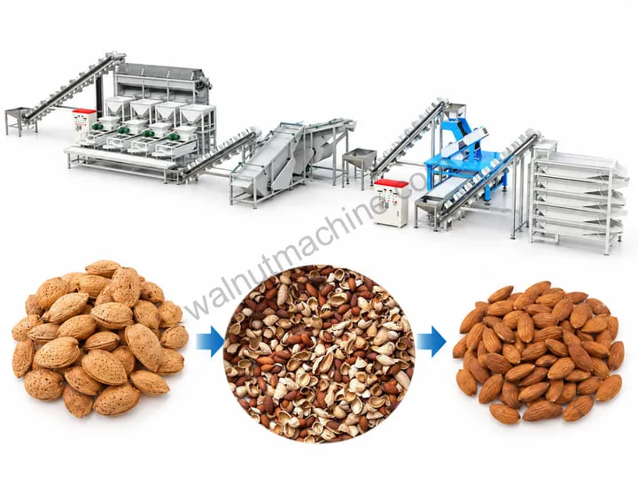 Almond shelling production line