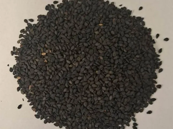 Sesame Peeling Machine | Automatic Sesame Dehulling Machine 3 Black sesame seeds