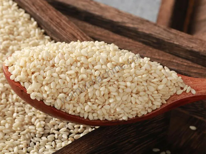 Sesame Peeling Machine | Automatic Sesame Dehulling Machine 4 Sesame seeds suitable for further processing