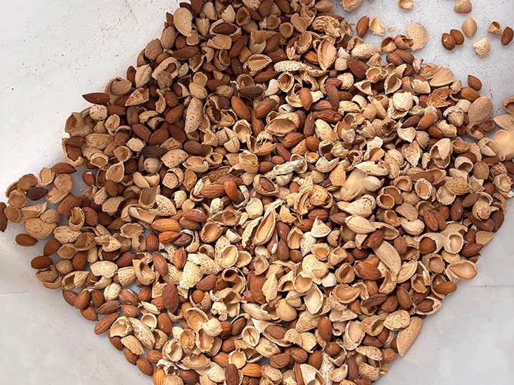 Almond Shelling Production Line For Almond Cracking 4 Cracked almonds shell and kernel