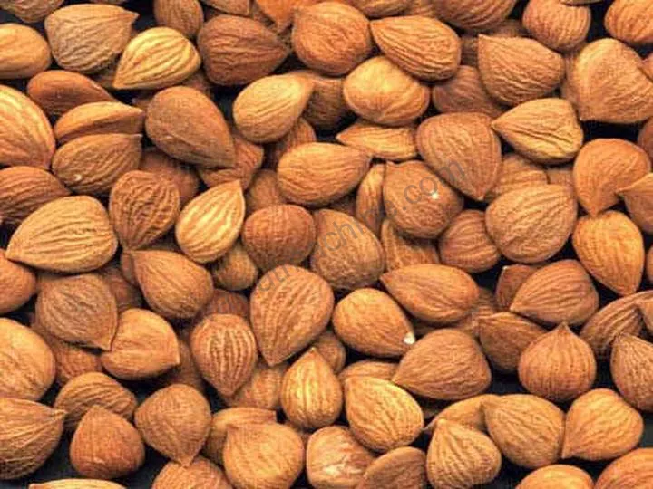 Almond Shelling Production Line For Almond Cracking 5 Shelled almond kernels