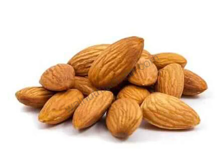 Almond Shelling Production Line For Almond Cracking 2 Amandes décortiquées