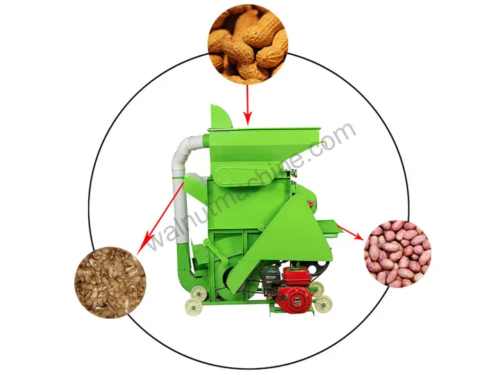 Peanut Shelling Machine For Efficient Peanut Shell Removal 10 Model 800 peanut shelling machine
