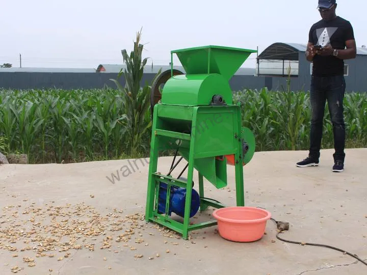 Peanut Shelling Machine For Efficient Peanut Shell Removal 4 Peanut shelling process